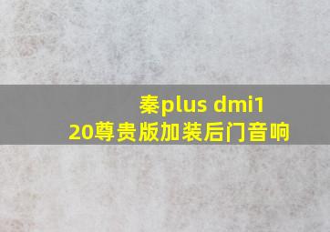 秦plus dmi120尊贵版加装后门音响